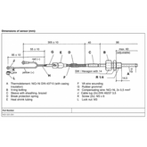 Pyrometer sensor  900°C – R 1/4